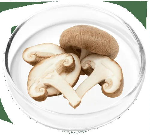 Ginkgo Biloba leaf extract